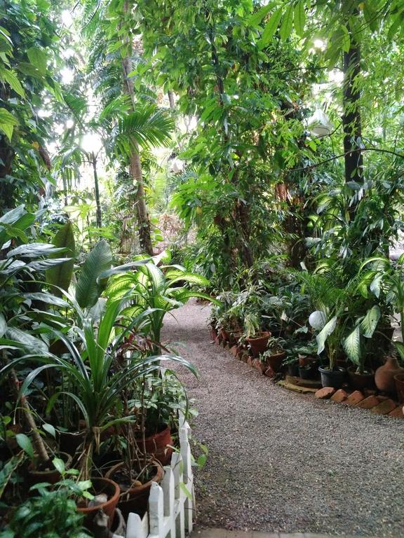 Green Woods Bethlehem Kochi Ngoại thất bức ảnh