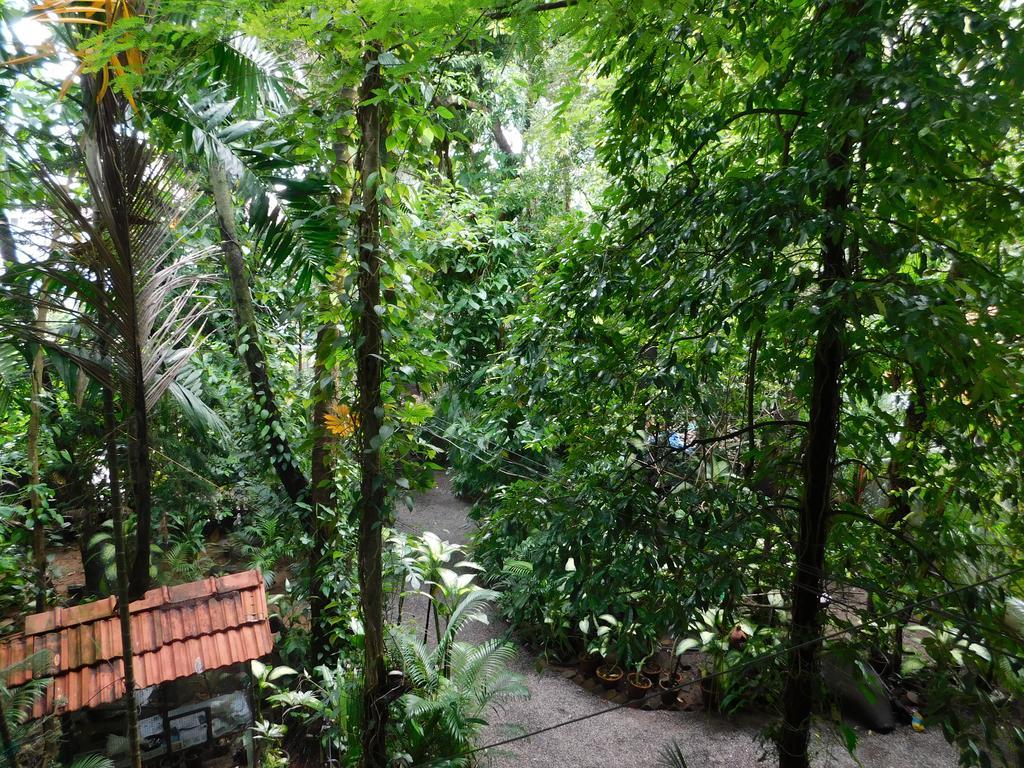 Green Woods Bethlehem Kochi Ngoại thất bức ảnh