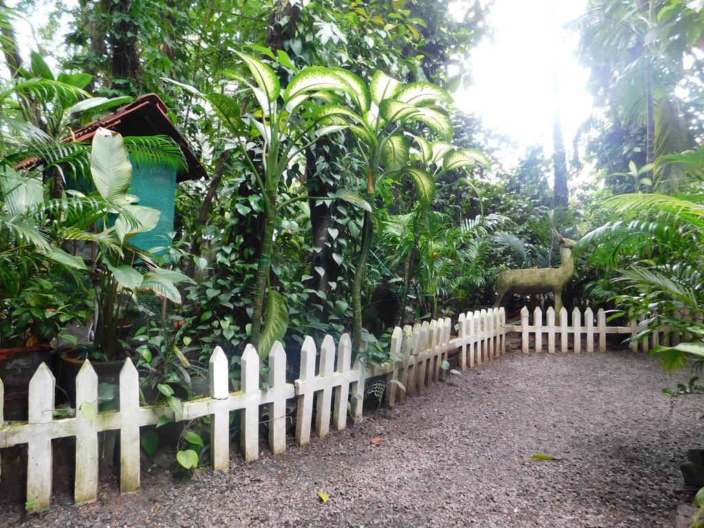 Green Woods Bethlehem Kochi Ngoại thất bức ảnh