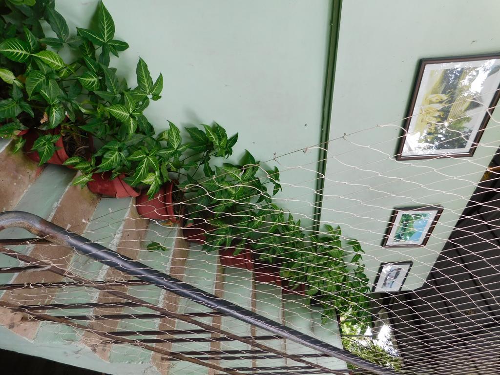 Green Woods Bethlehem Kochi Ngoại thất bức ảnh